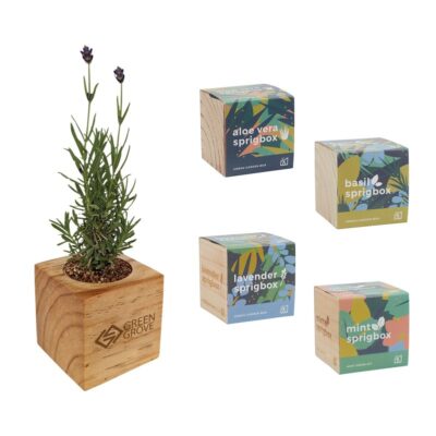 Sprigbox Plant Grow Kit-1